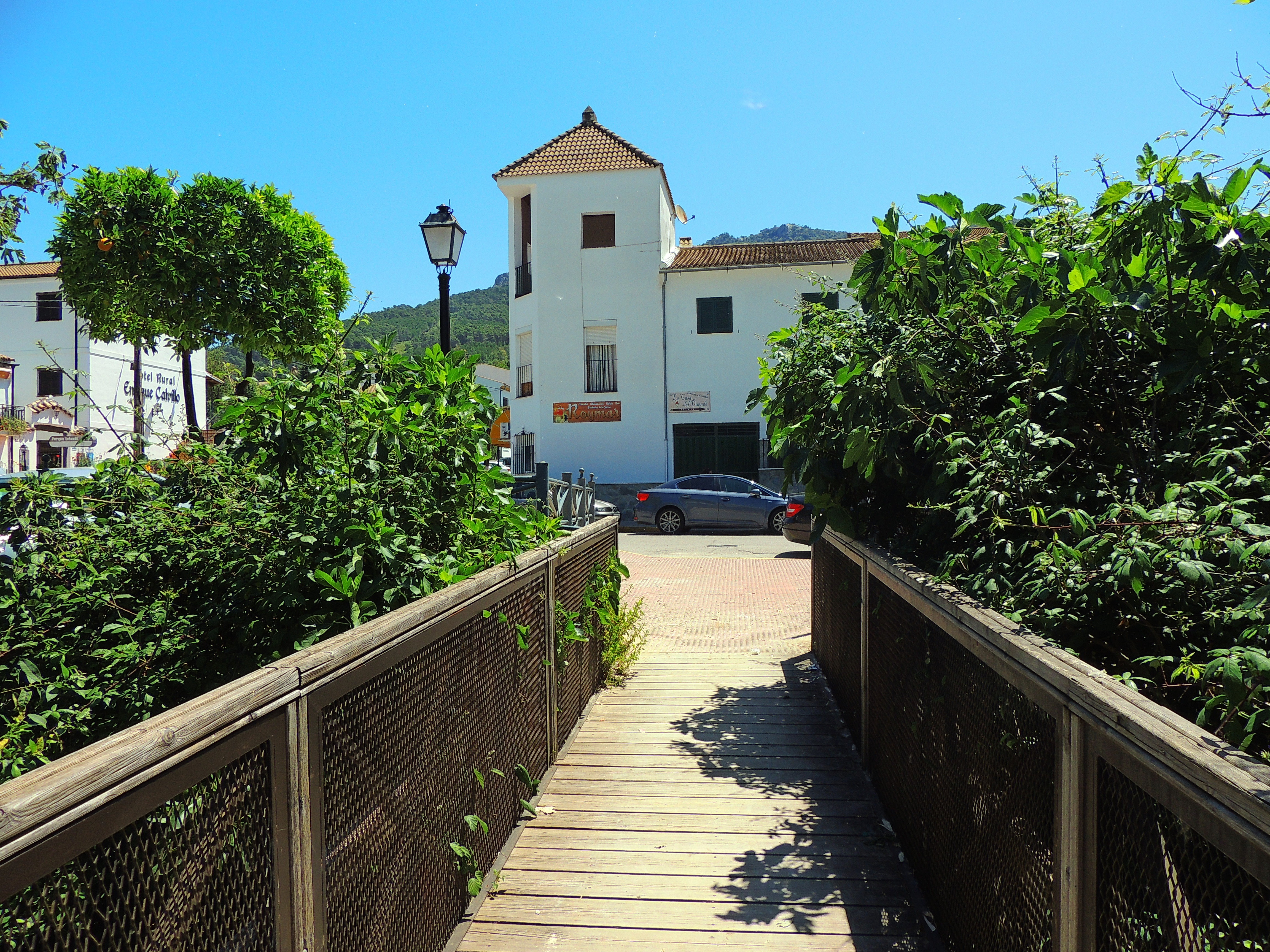 Foto de El Bosque (Cádiz), España