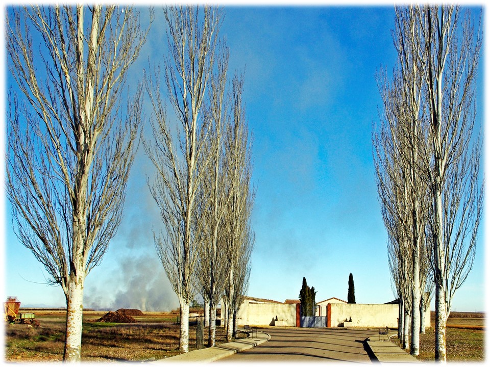 Foto: El cementerio - Villar Del Yermo (León), España