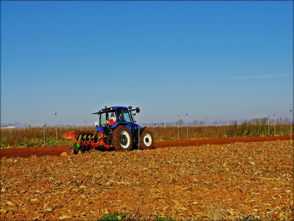Foto: Preparando el terreno - Villar Del Yermo (León), España