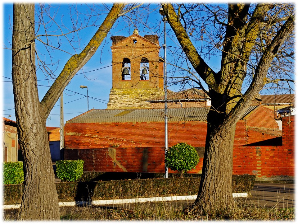 Foto: Entre los Arboles - Villar Del Yermo (León), España