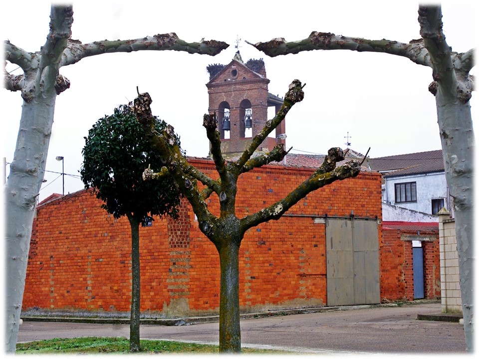 Foto: sobre el arbol - Villar Del Yermo (León), España