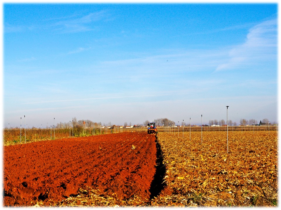 Foto: Surcos bien rectos - Villar Del Yermo (León), España