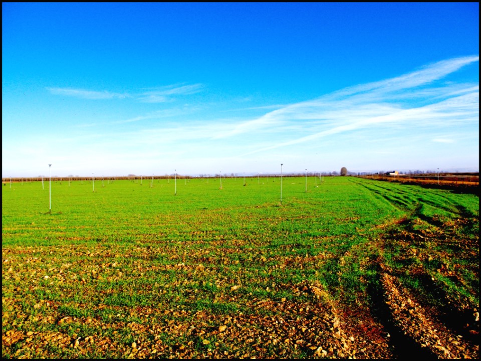 Foto: CAMPO VERDE - Villar Del Yermo (León), España