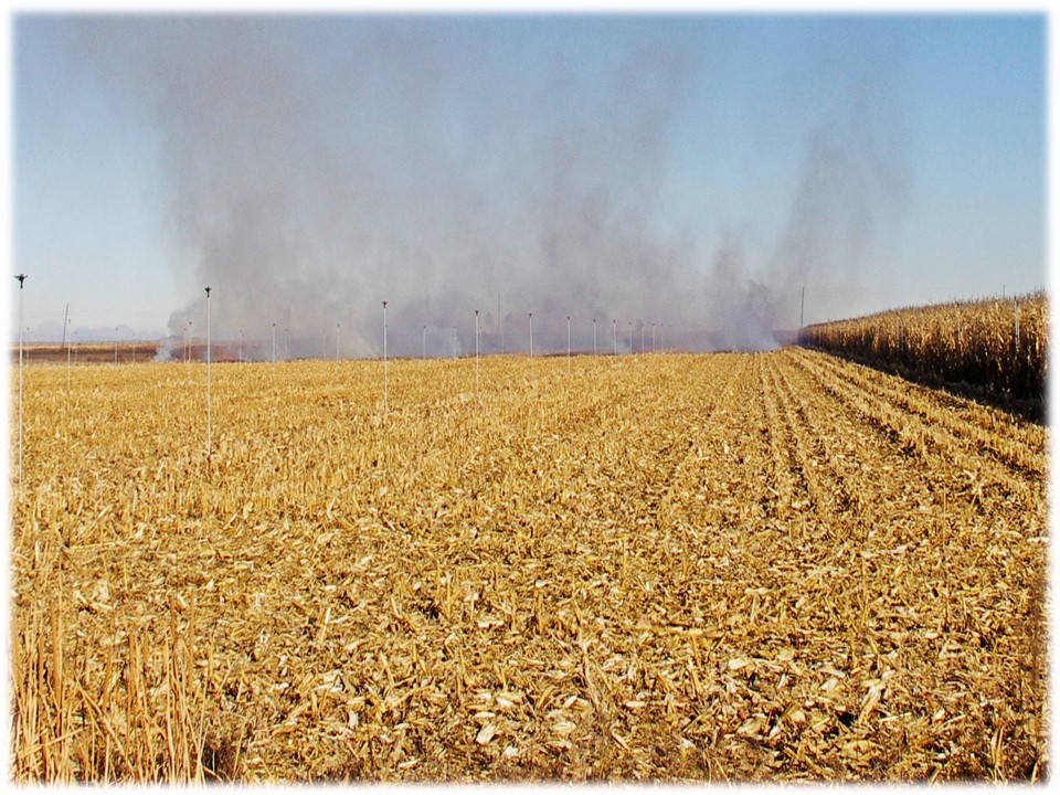 Foto: quemando rastrojos - Villar Del Yermo (León), España