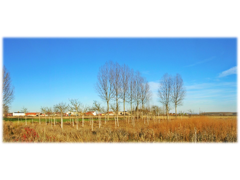 Foto: Panorámica de Villar del Yermo - Villar Del Yermo (León), España