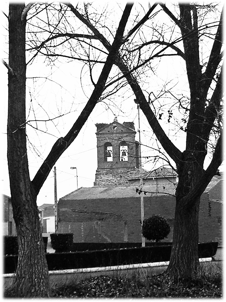 Foto: Entre los Arboles - Villar Del Yermo (León), España