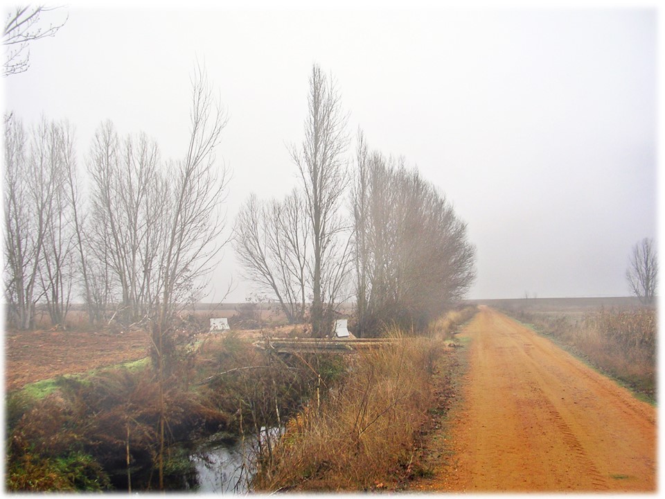 Foto: camino al lado del reguero - Villar Del Yermo (León), España
