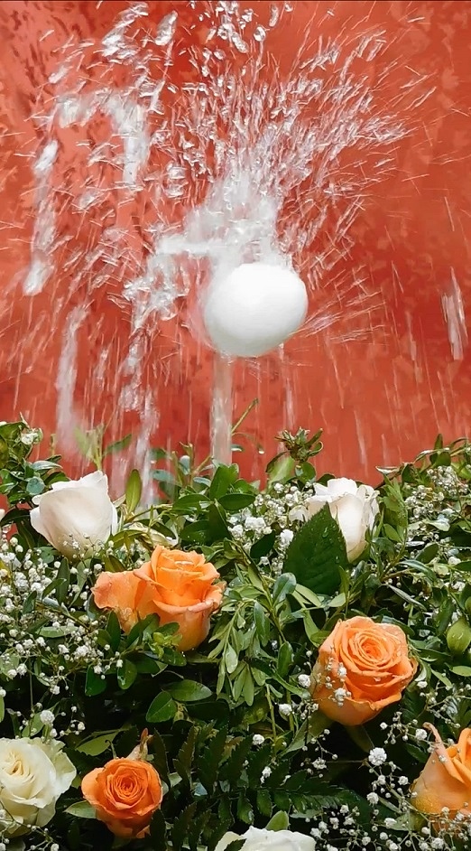 Foto: L´ou com balla - Sant Feliu de Llobregat (Barcelona), España