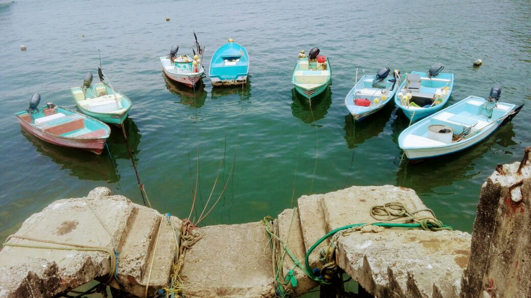 Foto: Pesca Artesanal - Paquera (Puntarenas), Costa Rica