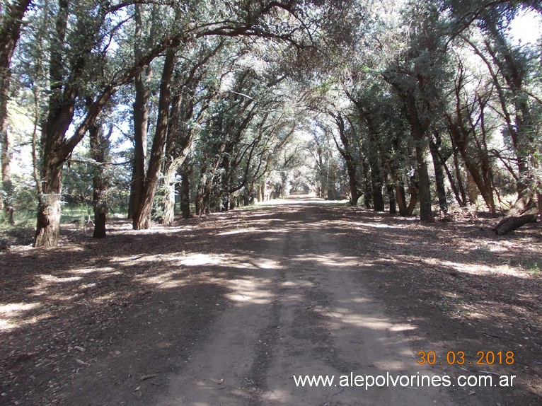 Foto: La Guitarra - General Levalle (Córdoba), Argentina
