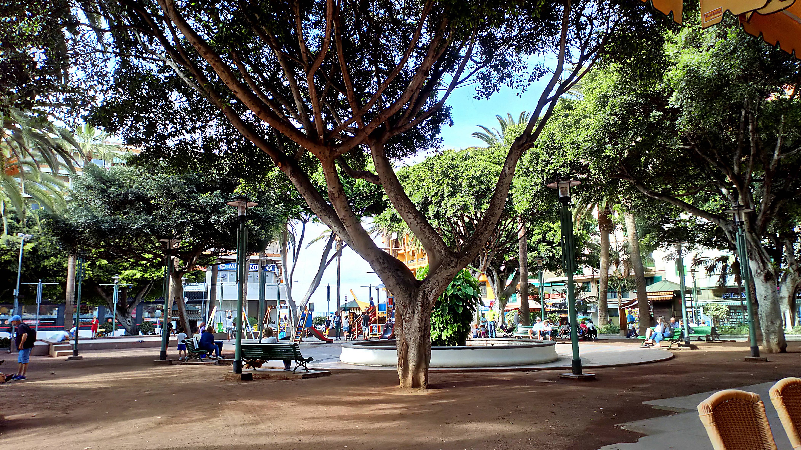 Foto: Plaza del Charco - Puerto de la Cruz (Santa Cruz de Tenerife), España