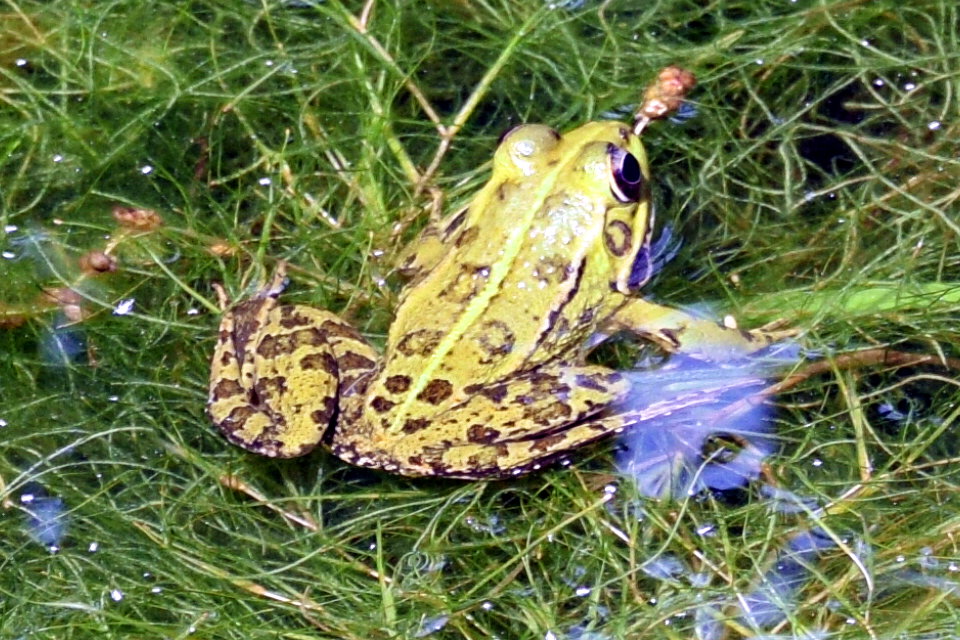 Foto de San Fernando (Cádiz), España