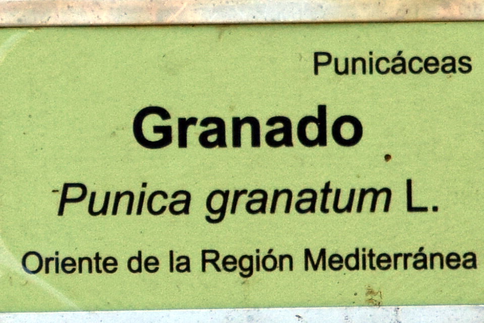 Foto de San Fernando (Cádiz), España