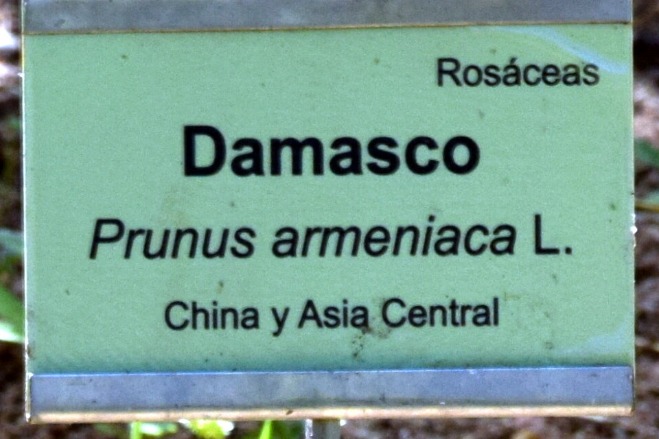 Foto de San Fernando (Cádiz), España