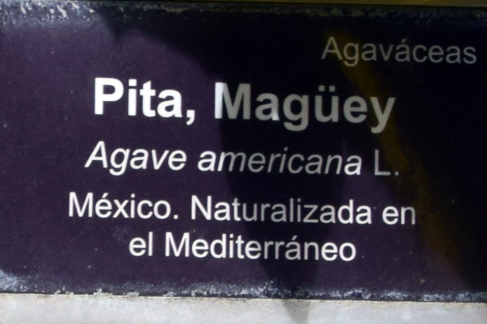 Foto de San Fernando (Cádiz), España