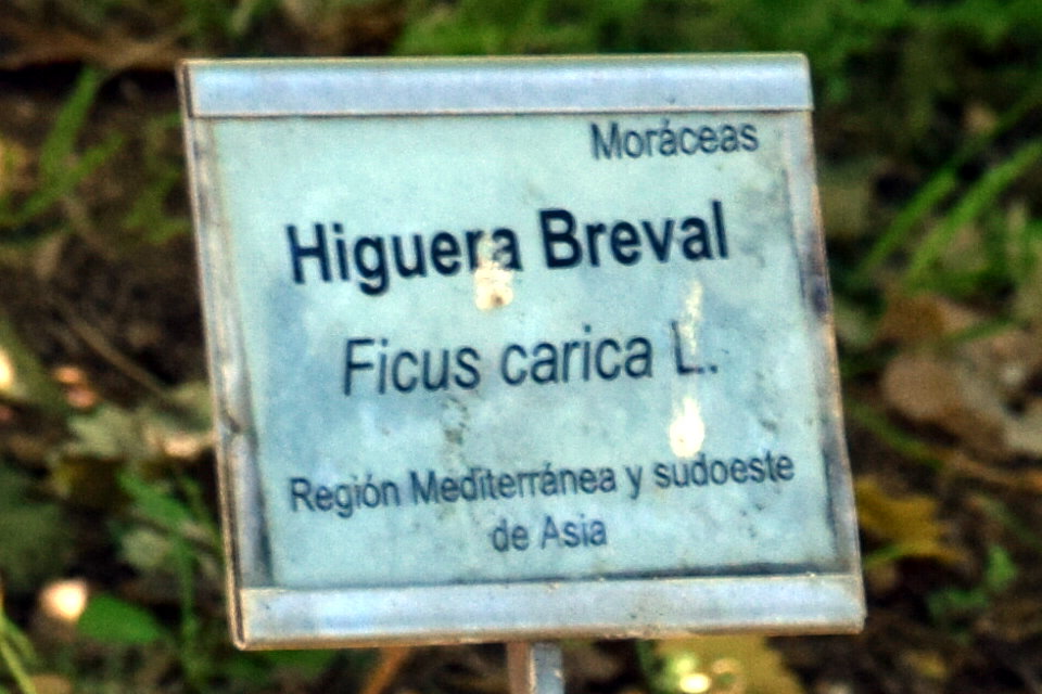 Foto de San Fernando (Cádiz), España