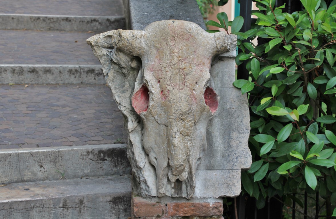 Foto: Bajada del castillo - Verona (Veneto), Italia