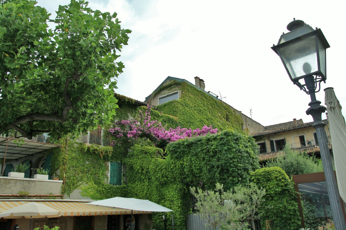 Foto: Centro histórico - Torri del Benaco (Veneto), Italia