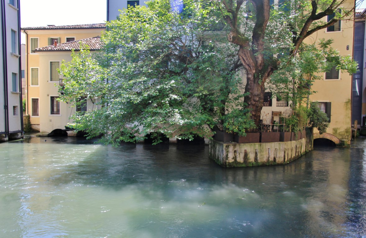 Foto: Centro histórico - Treviso (Veneto), Italia