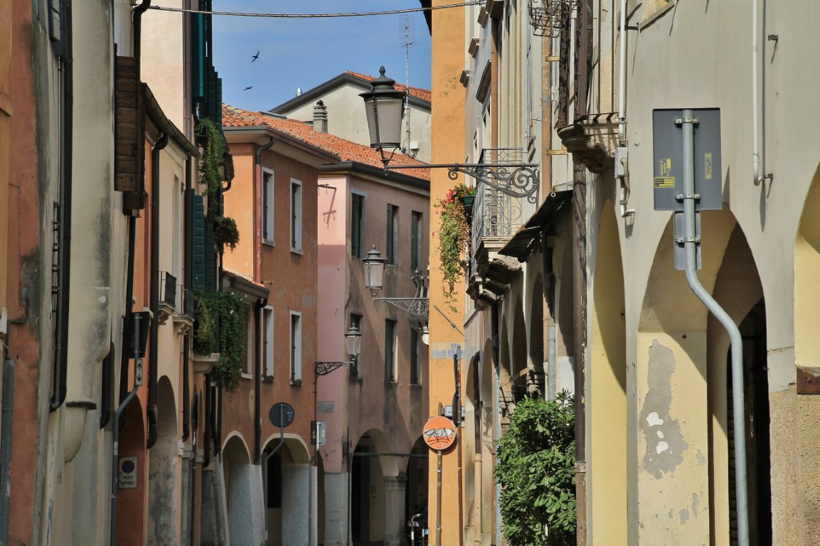 Foto: Centro histórico - Padua (Veneto), Italia