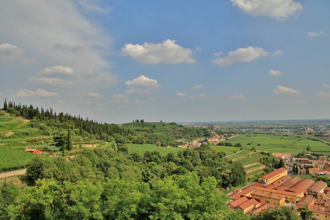 Foto: Vistas desde el castillo - Soave (Veneto), Italia