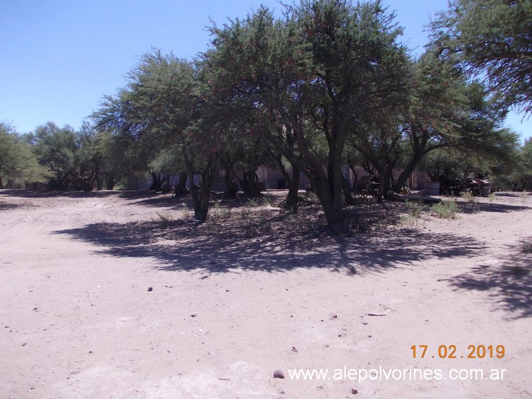 Foto: Gamay, La Pampa - Unanue (La Pampa), Argentina