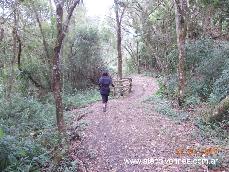 Foto: Parque da Pedreira - Rio Azul BR - Rio Azul (Paraná), Brasil