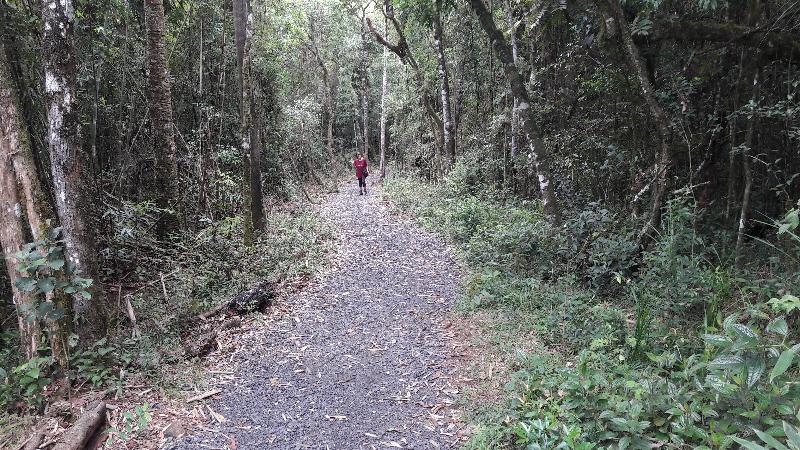 Foto: Salto Sao Sebastian - Prudentopolis - Prudentopolis (Paraná), Brasil