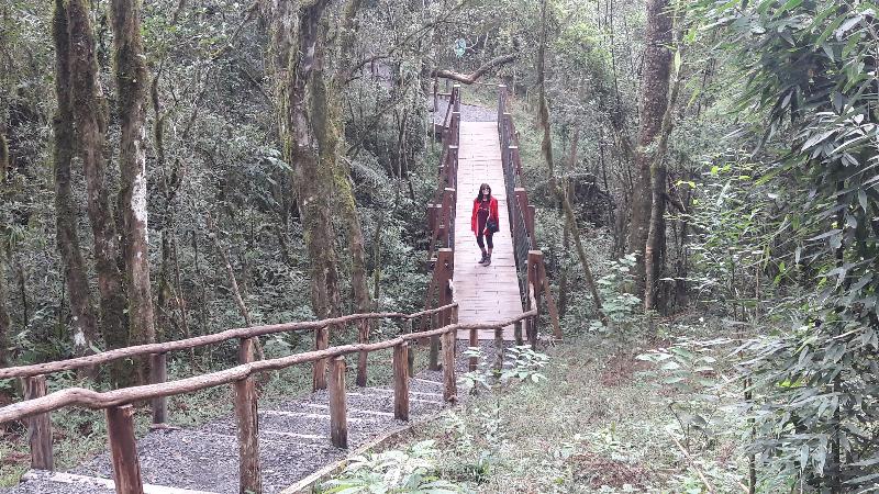 Foto: Salto Sao Joao - Prudentopolis - Prudentopolis (Paraná), Brasil