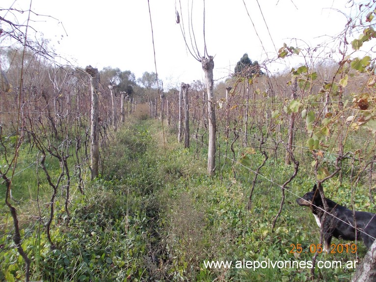 Foto: Bodega Osvaldo Paissan - Sarandi - Sarandi (Buenos Aires), Argentina