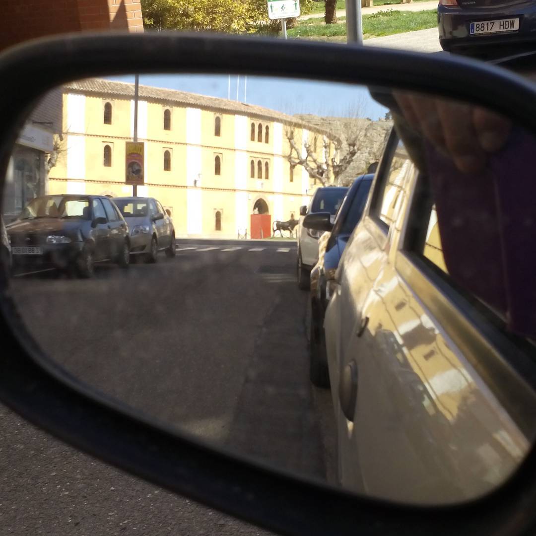 Foto: Coso de Margarita - Calatayud (Zaragoza), España