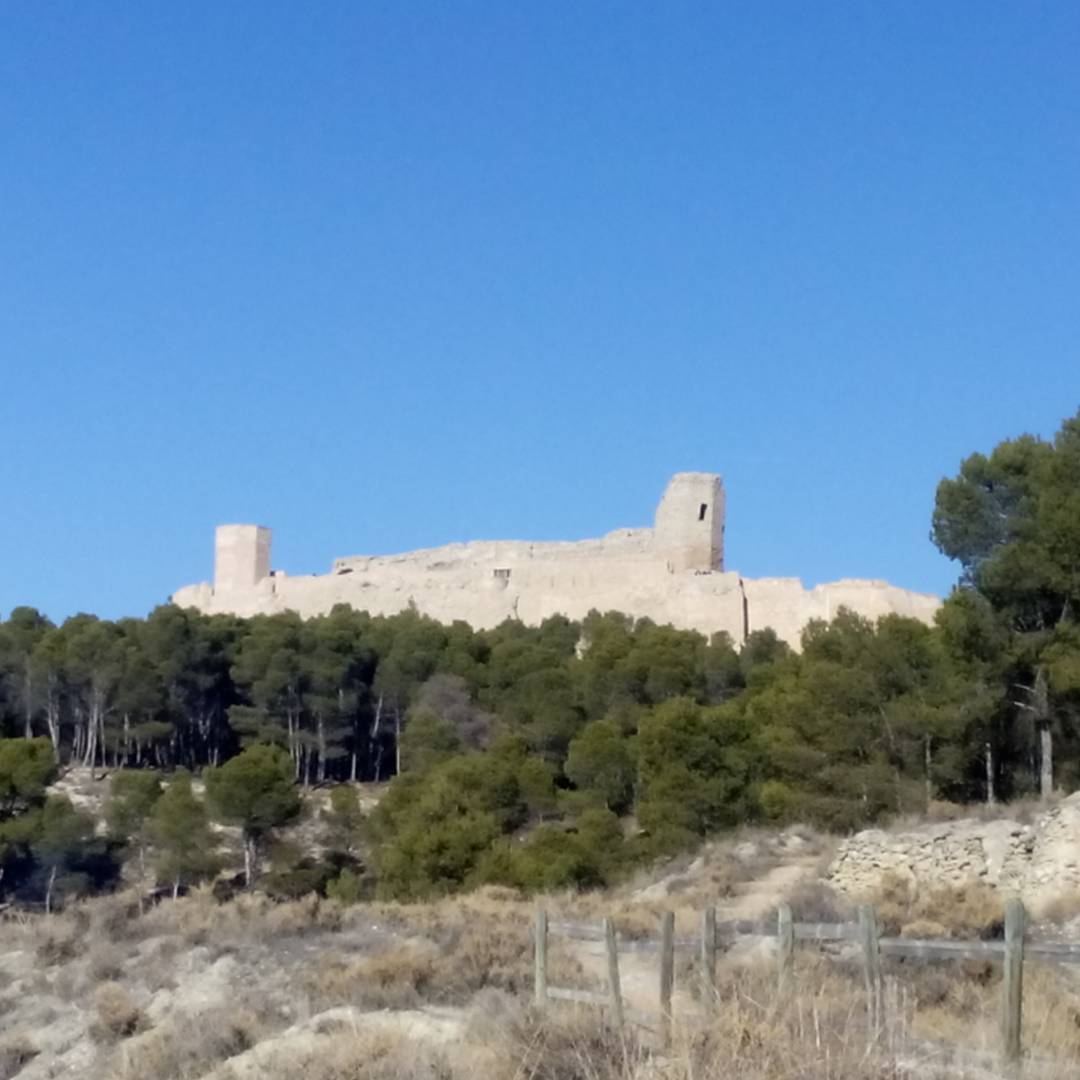 Foto: Castillo Mayor - Calatayud (Zaragoza), España