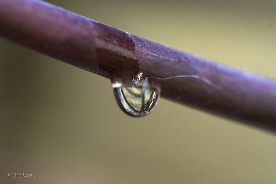 Foto de Alajuela, Costa Rica