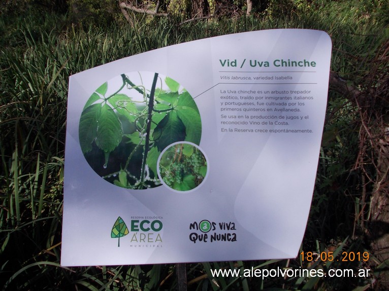 Foto: Reserva Ecologica de Avellaneda - Sarandi (Buenos Aires), Argentina