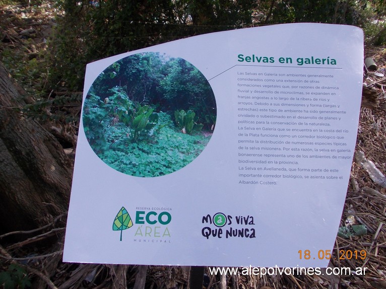 Foto: Reserva Ecologica de Avellaneda - Sarandi (Buenos Aires), Argentina