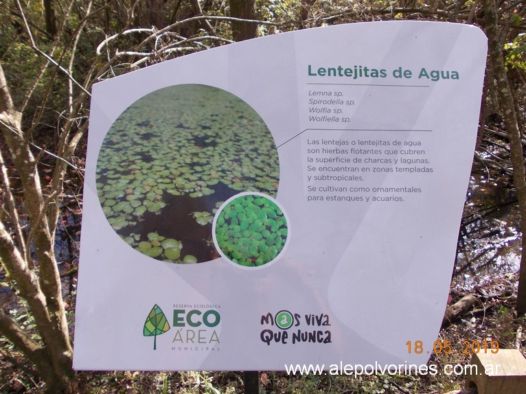 Foto: Reserva Ecologica de Avellaneda - Sarandi (Buenos Aires), Argentina