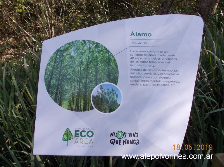 Foto: Reserva Ecologica de Avellaneda - Sarandi (Buenos Aires), Argentina