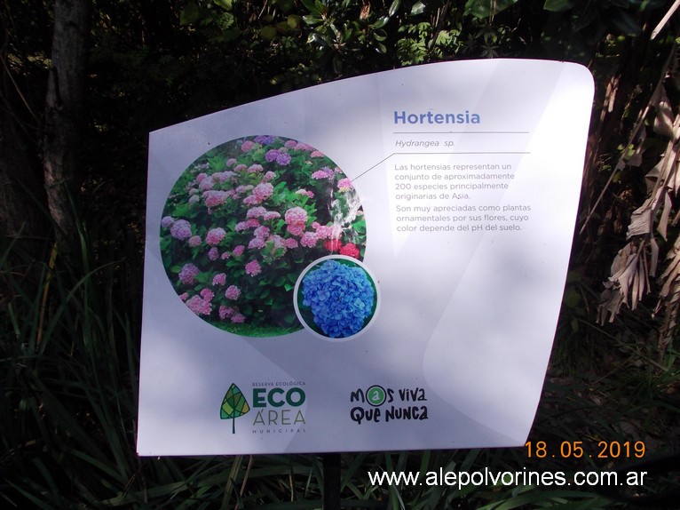 Foto: Reserva Ecologica de Avellaneda - Sarandi (Buenos Aires), Argentina