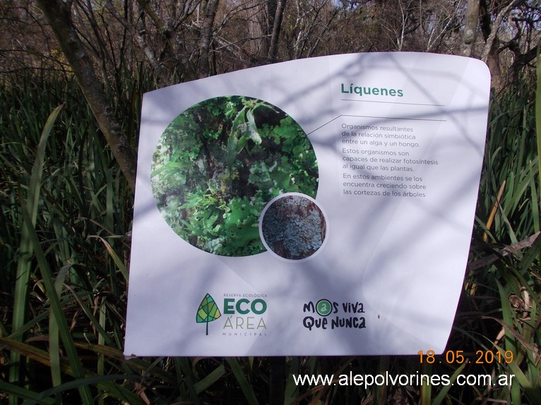 Foto: Reserva Ecologica de Avellaneda - Sarandi (Buenos Aires), Argentina