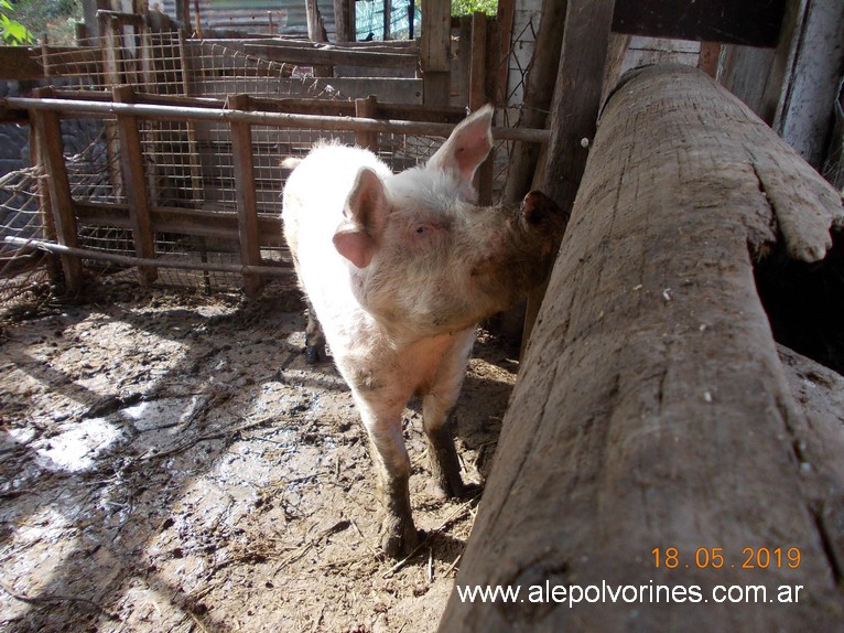 Foto: Granja El Abuelo - Sarandi - Sarandi (Buenos Aires), Argentina