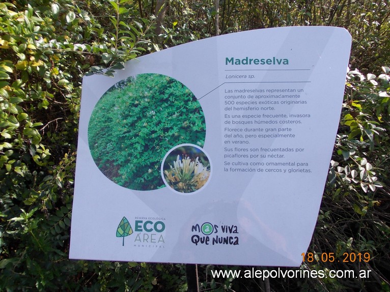 Foto: Reserva Ecologica de Avellaneda - Sarandi (Buenos Aires), Argentina