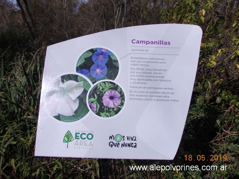 Foto: Reserva Ecologica de Avellaneda - Sarandi (Buenos Aires), Argentina