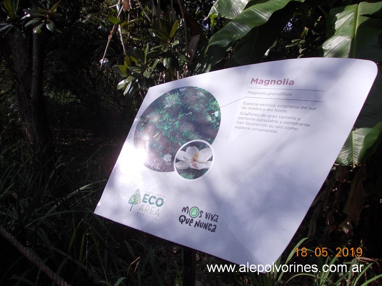 Foto: Reserva Ecologica de Avellaneda - Sarandi (Buenos Aires), Argentina