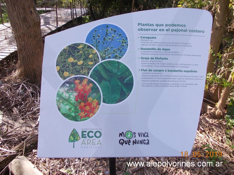 Foto: Reserva Ecologica de Avellaneda - Sarandi (Buenos Aires), Argentina