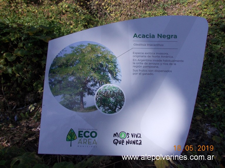 Foto: Reserva Ecologica de Avellaneda - Sarandi (Buenos Aires), Argentina