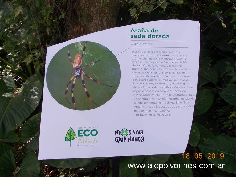 Foto: Reserva Ecologica de Avellaneda - Sarandi (Buenos Aires), Argentina