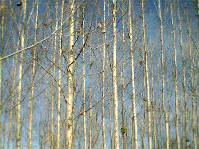 Foto de Ateca (Zaragoza), España