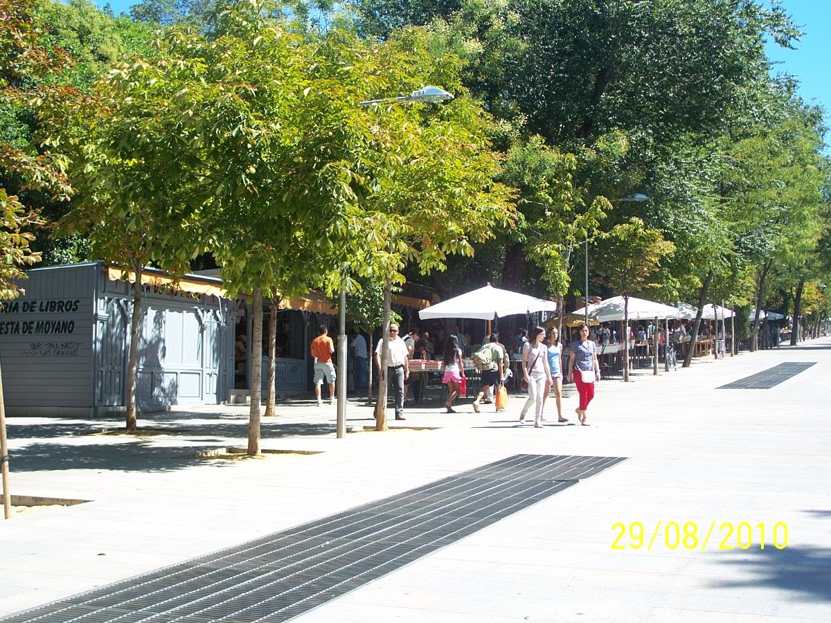 Foto de Madrid (Comunidad de Madrid), España