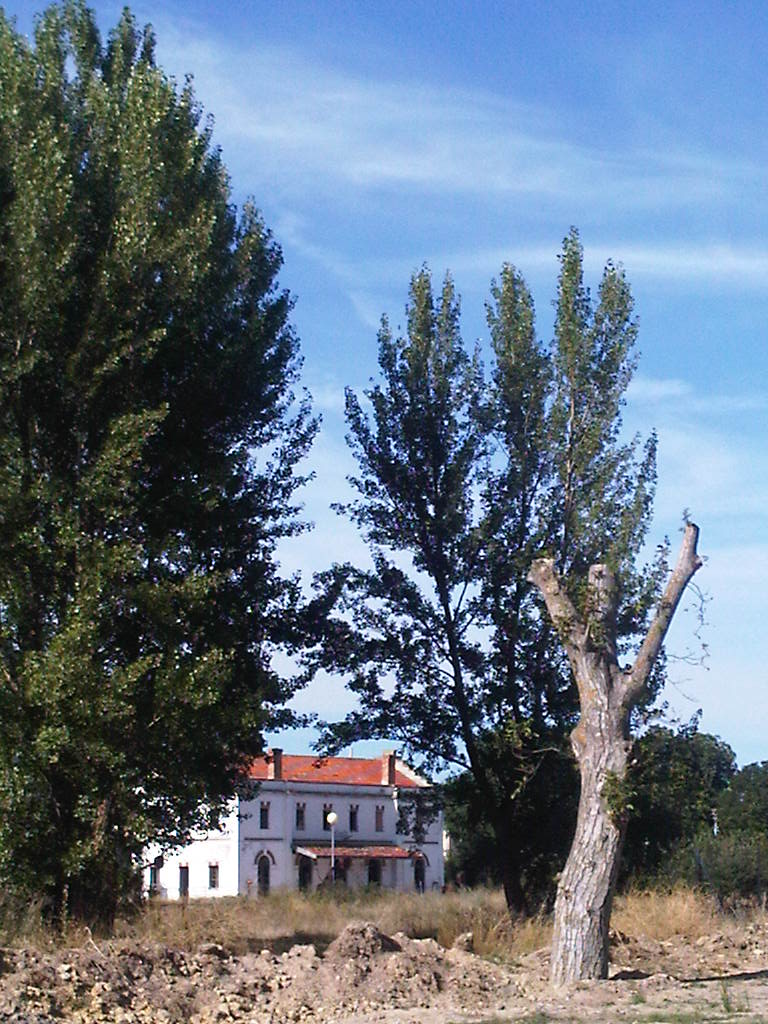 Foto: Estación de ferrocarril - Agreda (Soria), España