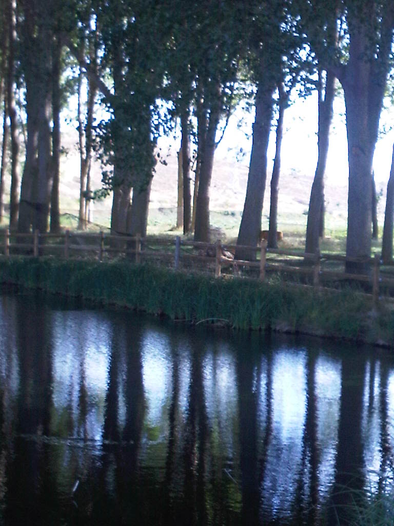 Foto: La Dehesa - Agreda (Soria), España